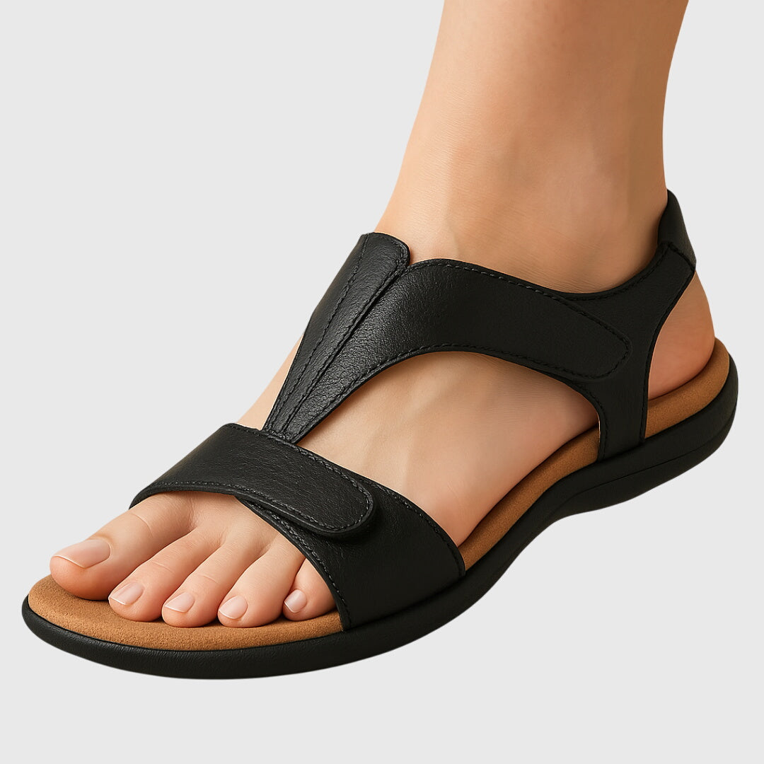 Black / 12